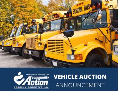 Vehicle Auction